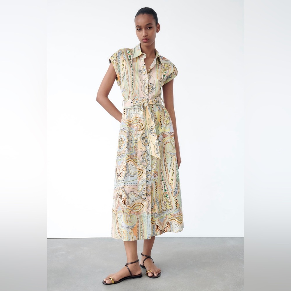 Zara dress